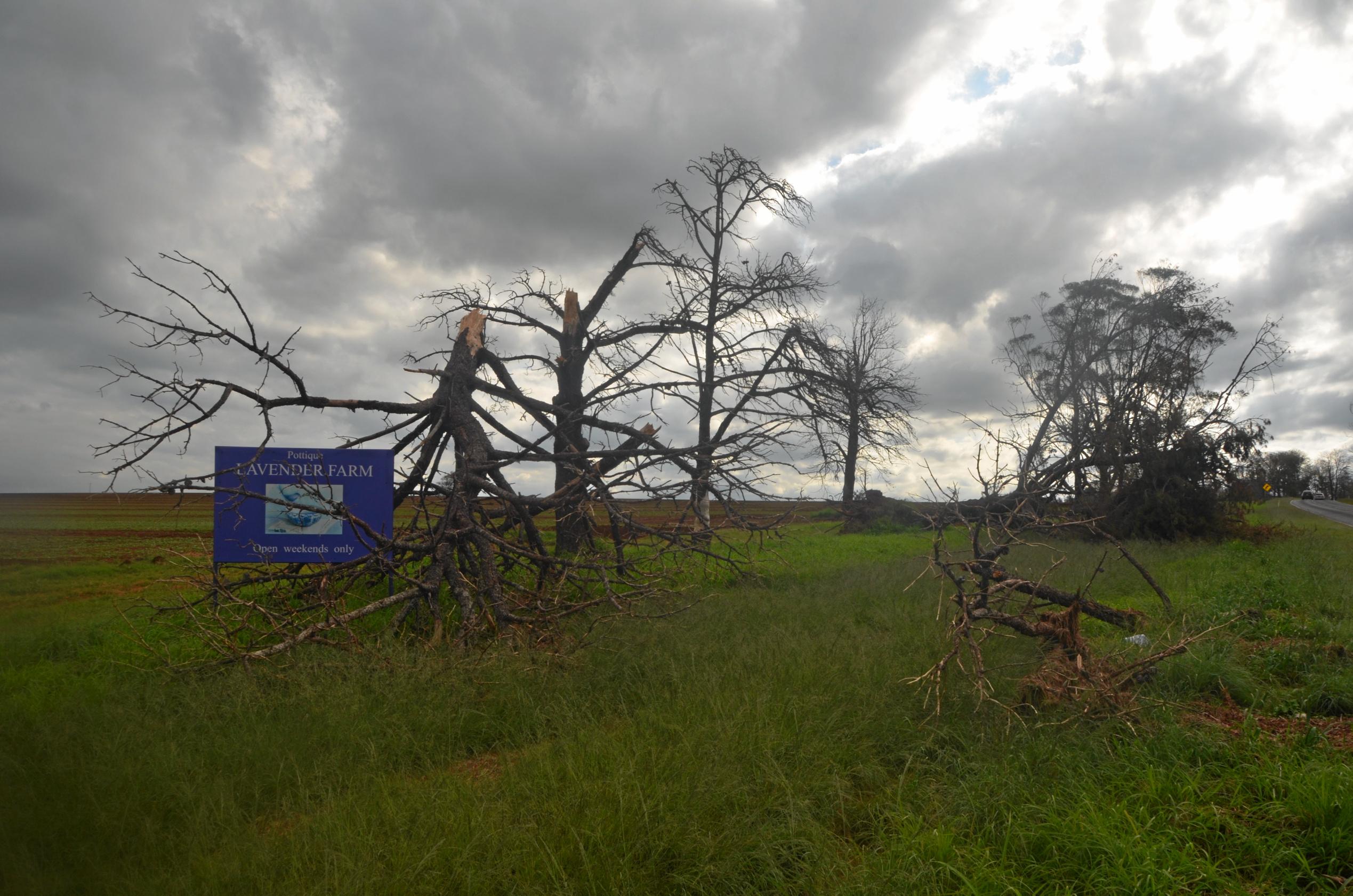 PURPLE SKIES: Pottique was hit hard by the super-cell that tore through Coolubunia three weeks ago. Picture: Kate McCormack