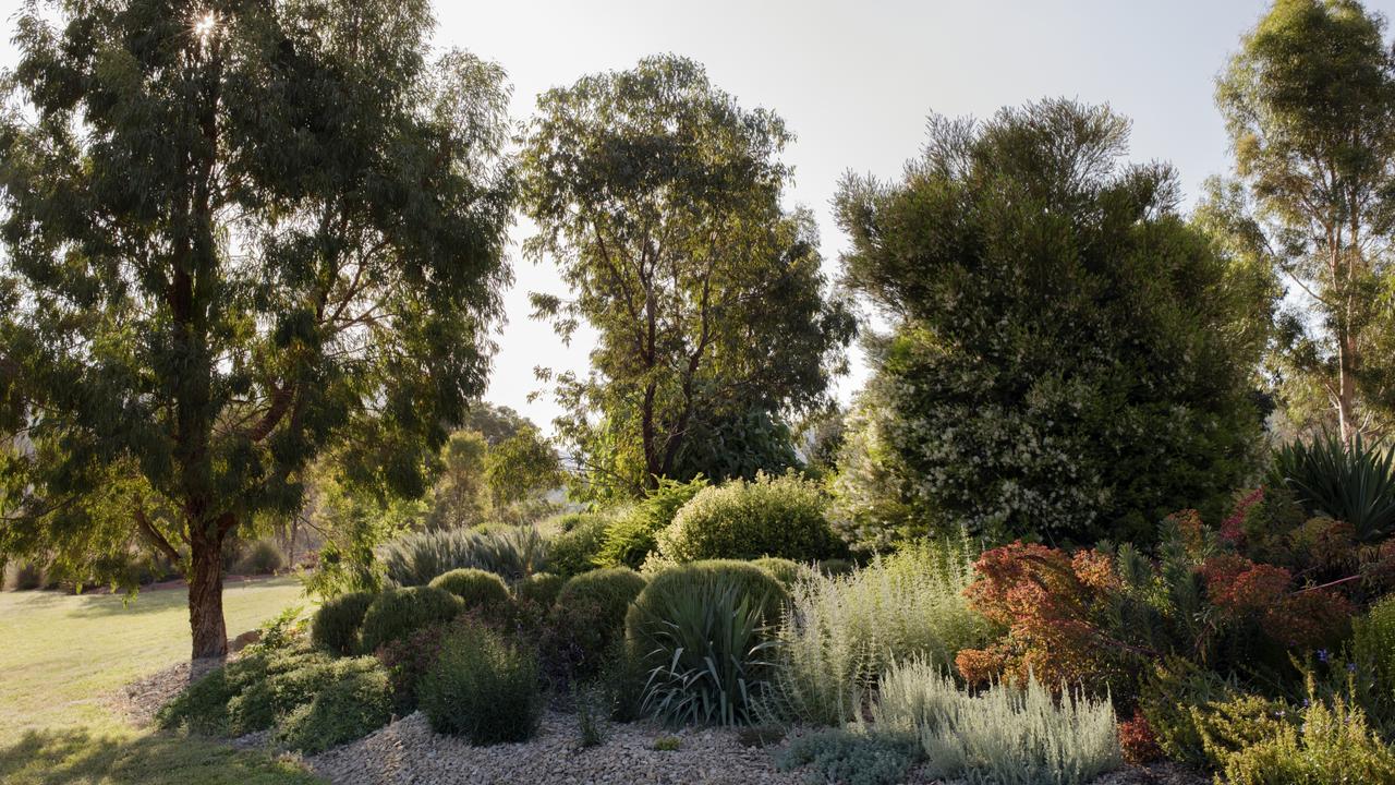 Natural Australian gardens | Daily Telegraph