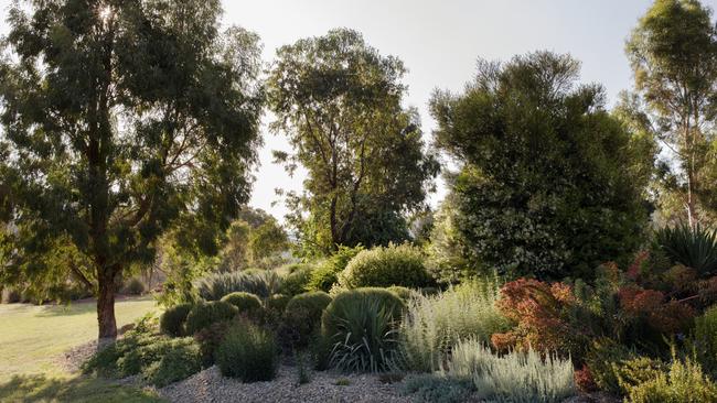 There’s still a little formality in this garden, with repeat plantings and ornamental grasses. All pictures:  Nicholas Watt 