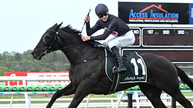 Elettrica takes out the Sunshine Coast Cup in commanding style Picture: Grant Peters Trackside Photography