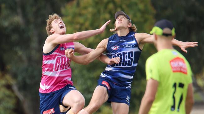 Toby Conway and Rhys Stanley go at it in the ruck during match simulation. Picture: Geelong Cats