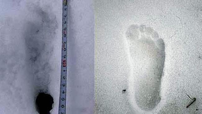 In 2008, a team of Japanese adventurers said they had discovered footprints they believed were made by the legendary yeti.