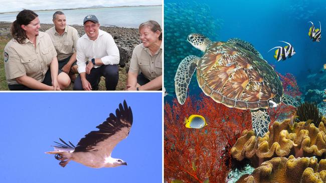 A massive acquisition had added 140 island sites to the Great Barrier Reef Marine Park in hopes of protecting sea turtles and other endangered wildlife across the state.