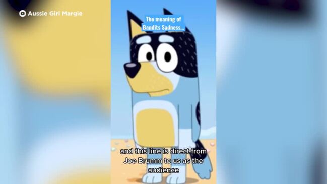Why is Bandit sad in Bluey episode Stickbird? Theories have fans tearing up
