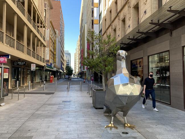 The new pigeion sculpture in Rundle Mall at 9am. Picture: Paul Starick