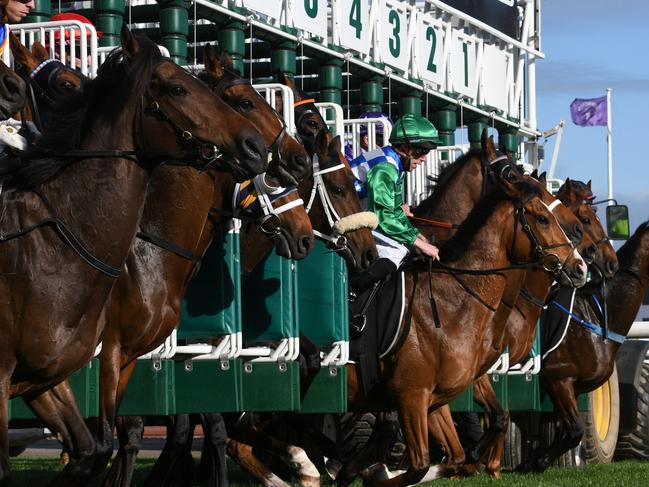 MELBOURNE, AUSTRALIA - OCTOBER 02: John Allen riding Grand Promenade jumps out of the barriers before winning  Race 8, the Lexus Bart Cummings,  during Melbourne Racing at Flemington Racecourse on October 02, 2021 in Melbourne, Australia. (Photo by Vince Caligiuri/Getty Images)