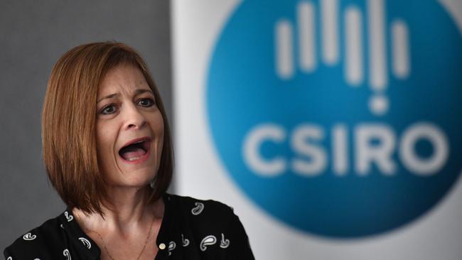 CSIRO chief operating officer Judi Zielke admits the organisation has ‘undertaken research on bats previously’. Picture: AAP