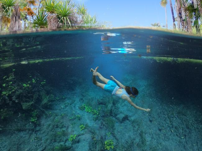 ESCAPE Australian woman diving in Bitter Springs near Mataranka in the Northern Territory, Australia. iStock