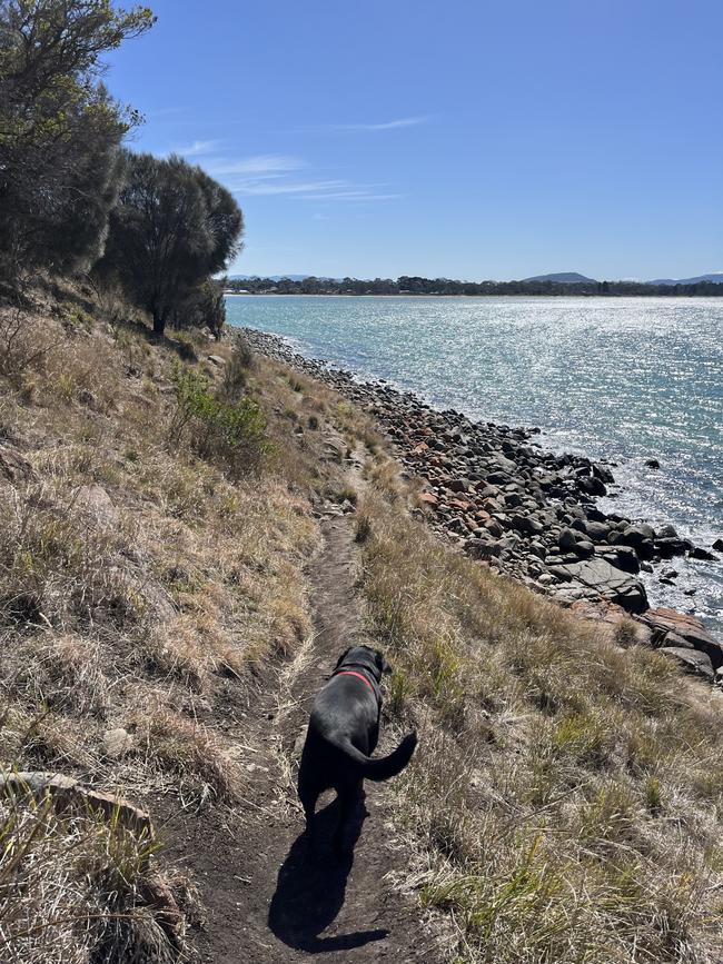 Trial-heading back towards Seven Mile Beach, lazy Saturday's with Max. Picture: Angela Eagling. Your Focus on Tasmania **ONE TIME USE ONLY**