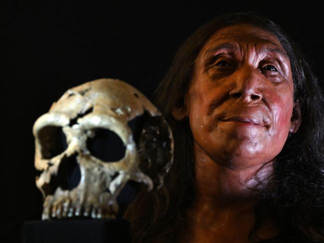 A picture shows the rebuilt skull and a physical reconstruction of the face and head, of a 75,000-year-old Neanderthal woman, named Shanidar Z, after the cave in Iraqi Kurdistan where her skull was found in 2018.