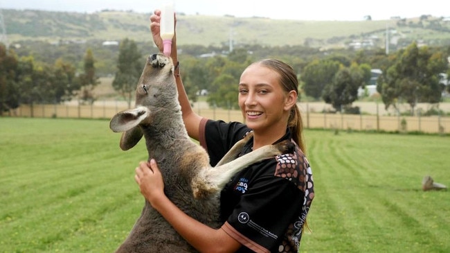 Speed has written a story about a kangaroo using her Wirangu language. Picture: ABC Eyre Peninsula: Jodie Hamilton