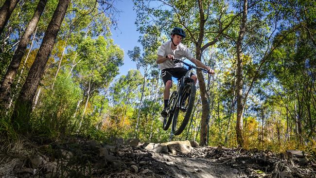 Mountain trail bike rider at the Reedy Creek tracks at the Glossy Black Cockatoo Reserve in the Gold Coast hinterland.