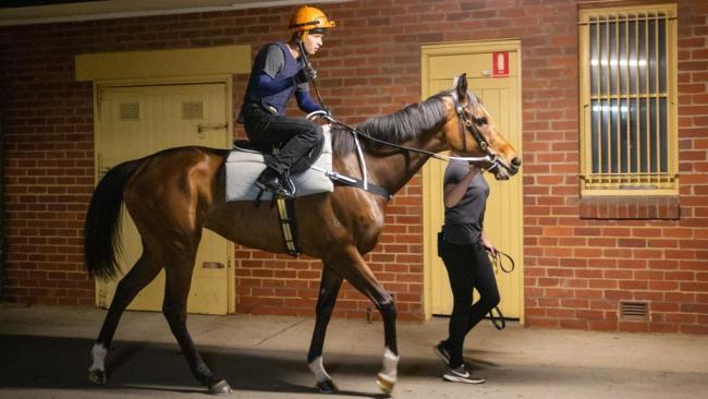 Kerrin McEvoy on board Youngstar