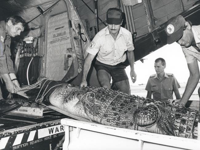 RAAF and Conservation Commission Officers unload a 3.5m Crocodile at the Darwin Airport. Circa: No date.