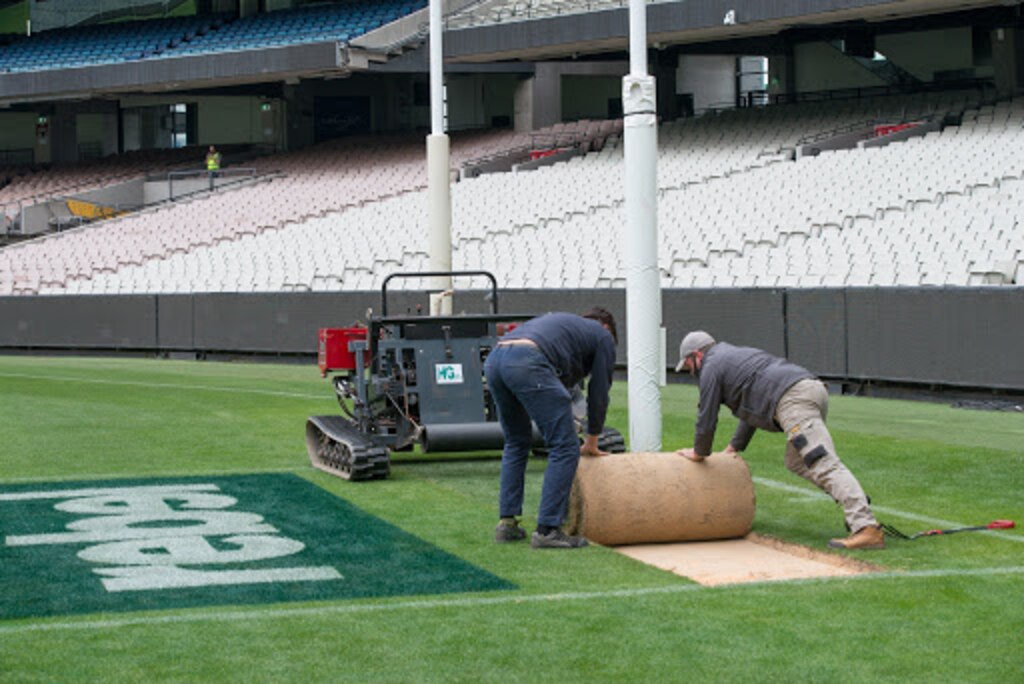 A section of the MCG turf being cut and rolled to take to The Gabba for the 2020 AFL Grand Final.