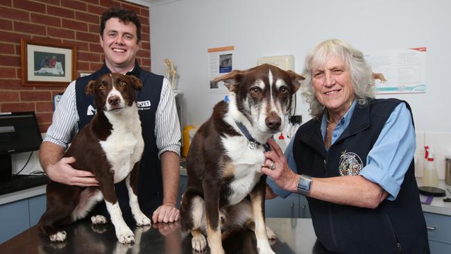 Number 8: Seville Veterinary Clinic vets Matt Redgewell and Marilyn Price. Picture: Ian Currie