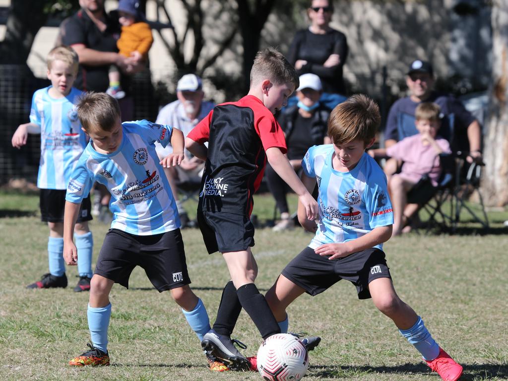 50+ Pictures: Junior Football Burleigh v Palm Beach | Gold Coast Bulletin