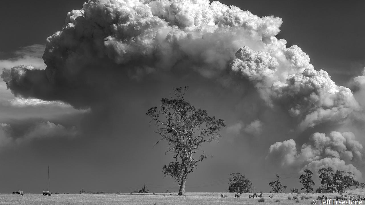 Monochrome winner. ‘Incoming’ by Jeff Freestone. Picture: Jeff Freestone/Australian Geographic Nature Photographer of the Year 2021