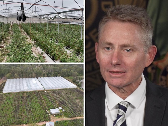 Cops smash $23m cannabis farm