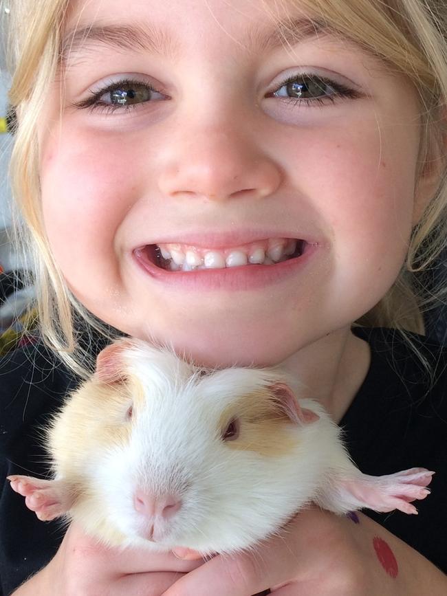 MERT: This is Elizabeth with her pet guinea pig Mert. Mert is the nicest, most cuddliest guinea pig ever.
