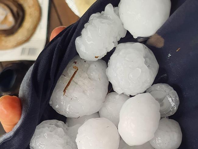 Hailstones up to 3cm in diametre were recorded in Merewether. Photo: Julian Ellis