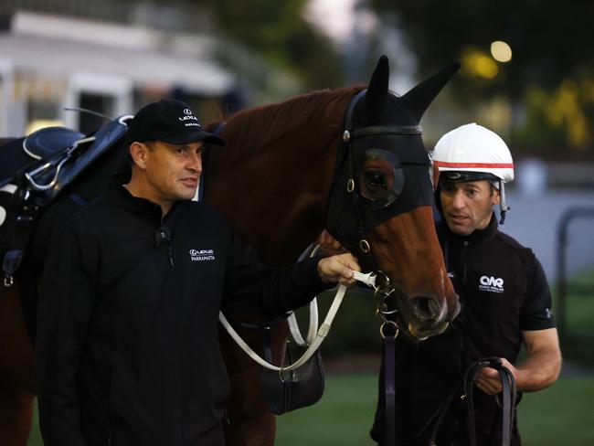 The Everest 2022 favourite Nature Strip, with trainer Chris Waller (left) and strapper Stuart Williams after track work at Rosehill Gardens Racecourse. Picture: Jonathan Ng