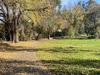 Dog walkers unleash on council park redevelopment