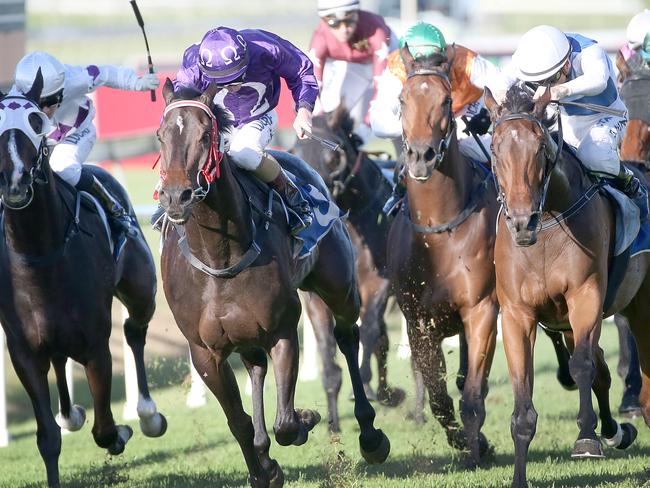 The BTC race day at Doomben. Winners a dead heat in race 6 Rudy, Jockey Blake Shinn, (outside) and Jumbo Prince, Jockey Jim Byrne, (inside with purple silks). Pic Jono Searle.