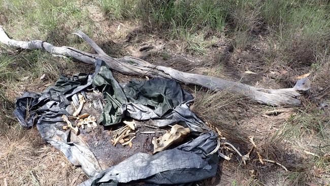 The carcass of a pig dumped in a tarp in Townsville.