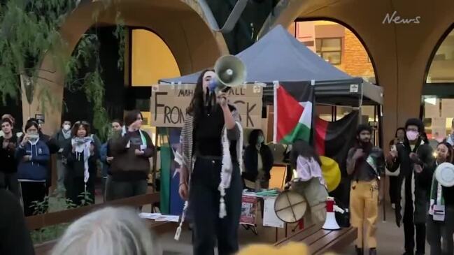 Students continue pro-Palestine rally