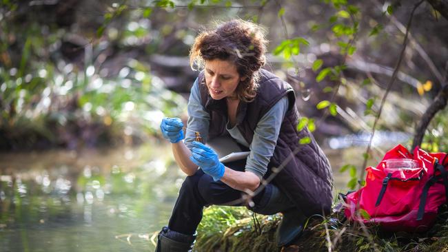 Ecologist is one of the fastest growing green jobs in Australia.