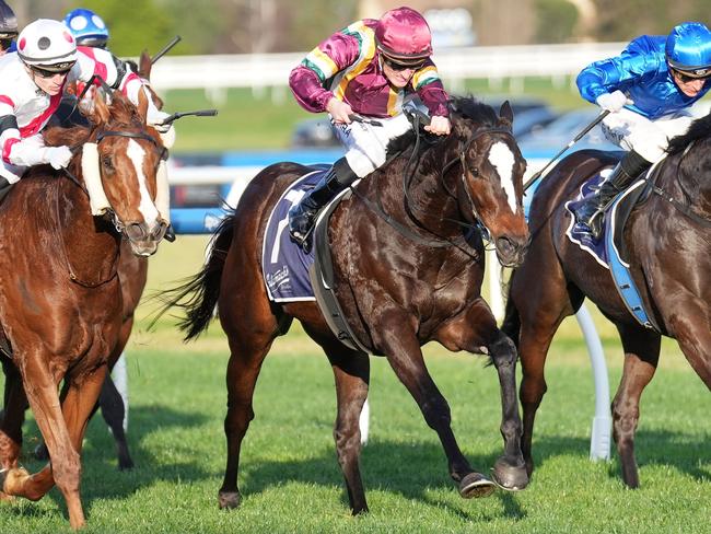 Gentleman Roy ridden by Mark Zahra wins the Catanach's Jewellers P.B. Lawrence Stakes at Caulfield Racecourse on August 17, 2024 in Caulfield, Australia. (Photo by Scott Barbour/Racing Photos via Getty Images)