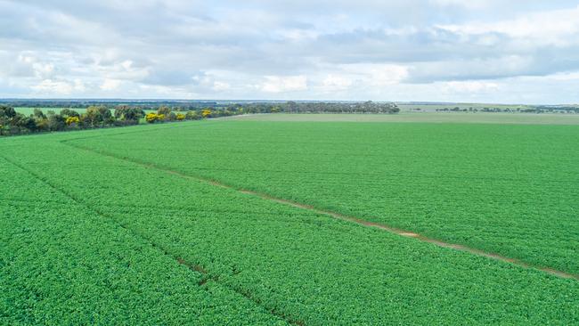 At Lime Creek, near Chatsworth, 500ha worth of row crops were developed to raised-bed formations in the past five years.