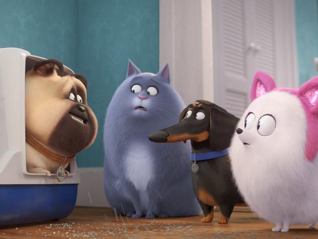 Moynihan voices Mel The Pug in the Secret Life Of Pets movies.