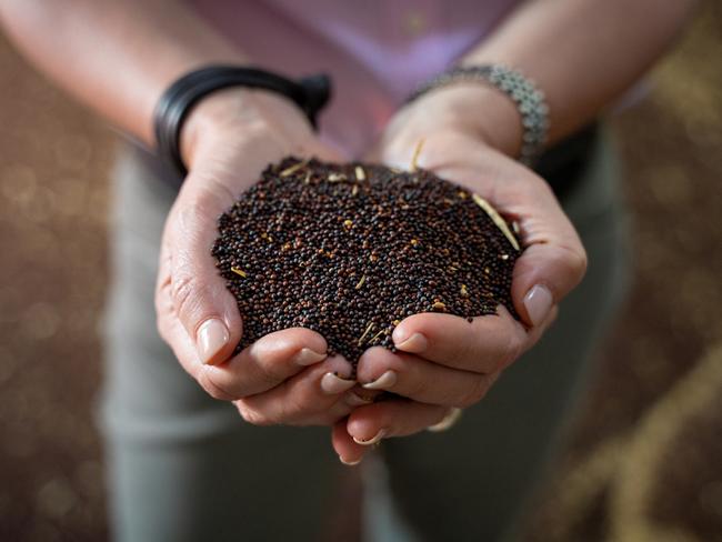 Liz O'Leary in silo with canola seed Picture: David Roma