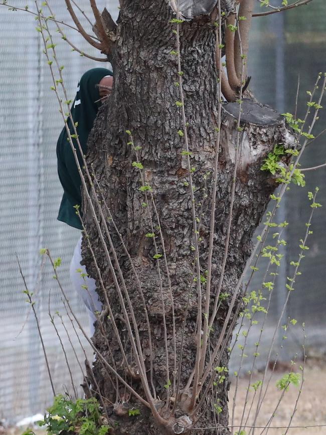 Chris Rymer hid behind a tree to avoid the limelight after being released.