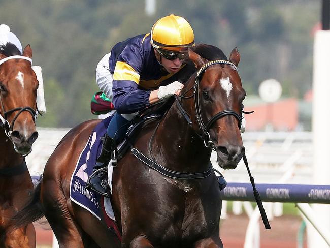 MELBOURNE, AUSTRALIA - JANUARY 18: Jockey Michael Dee rides Alabama Express during Race 3, Donate to Salvation Army Disaster Appeal during Melbourne Racing at Flemington Racecourse on January 18, 2020 in Melbourne, Australia. (Photo by George Salpigtidis/Getty Images)