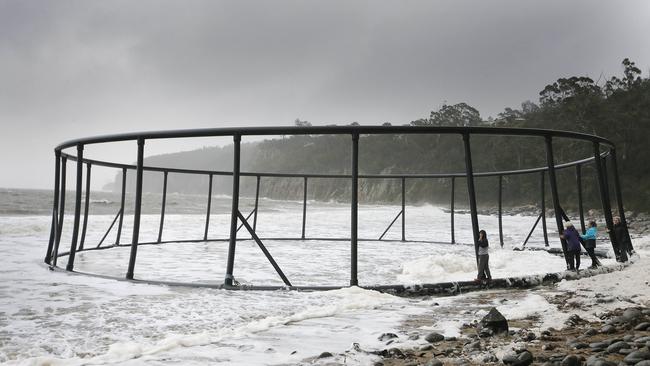 Salmon farming equipment washes up in Taroona south of Hobart. Picture: Mathew Farrell