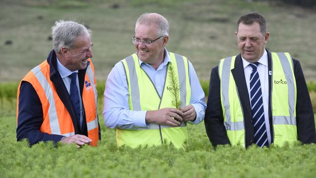 Senator Richard Colbeck, Prime Minister Scott Morrison and Liberal candidate for Braddon Gavin Pearce at Forico Nursery, at Somerset, Tasmania. Picture: AAP Image/Sarah Rhodes