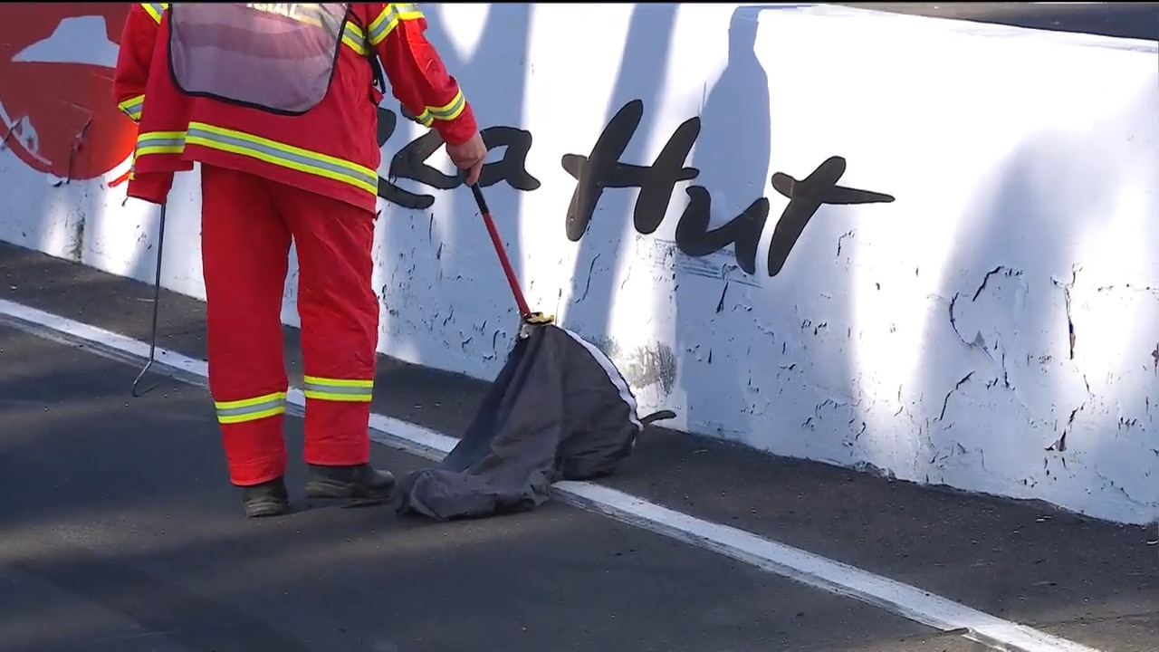 Snake disrupts Supercars practice at Mount Panorama.