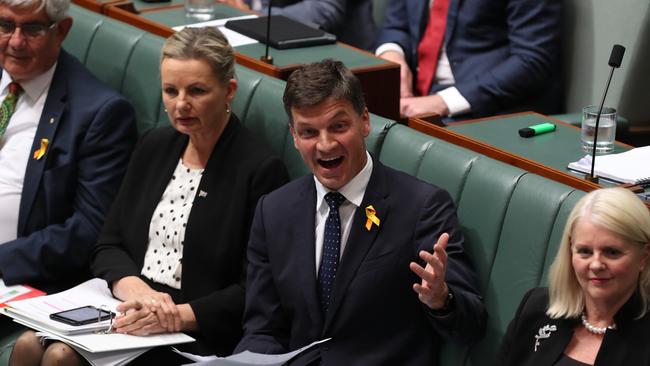 ‘You should show some respect’: Energy Minister Angus Taylor during question time on Tuesday. Picture: Kym Smith