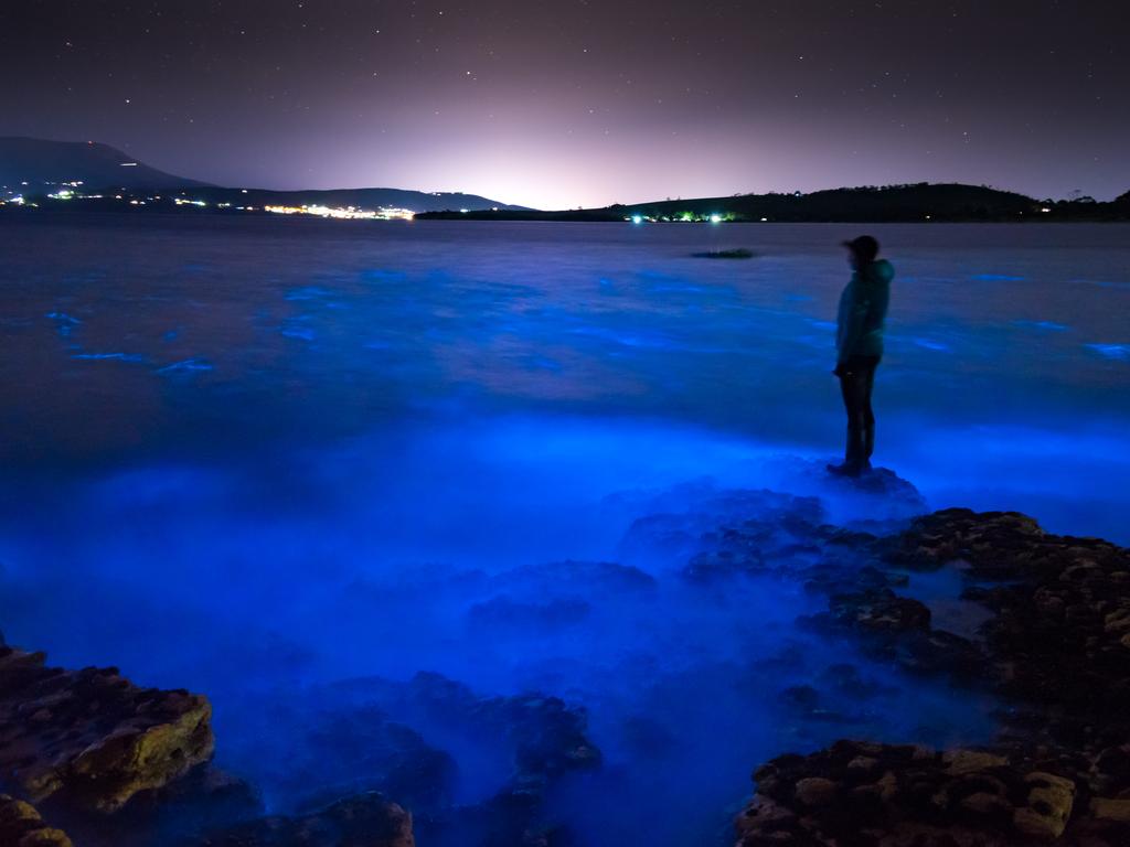 Australia’s No.1 beach just got beaten | escape.com.au