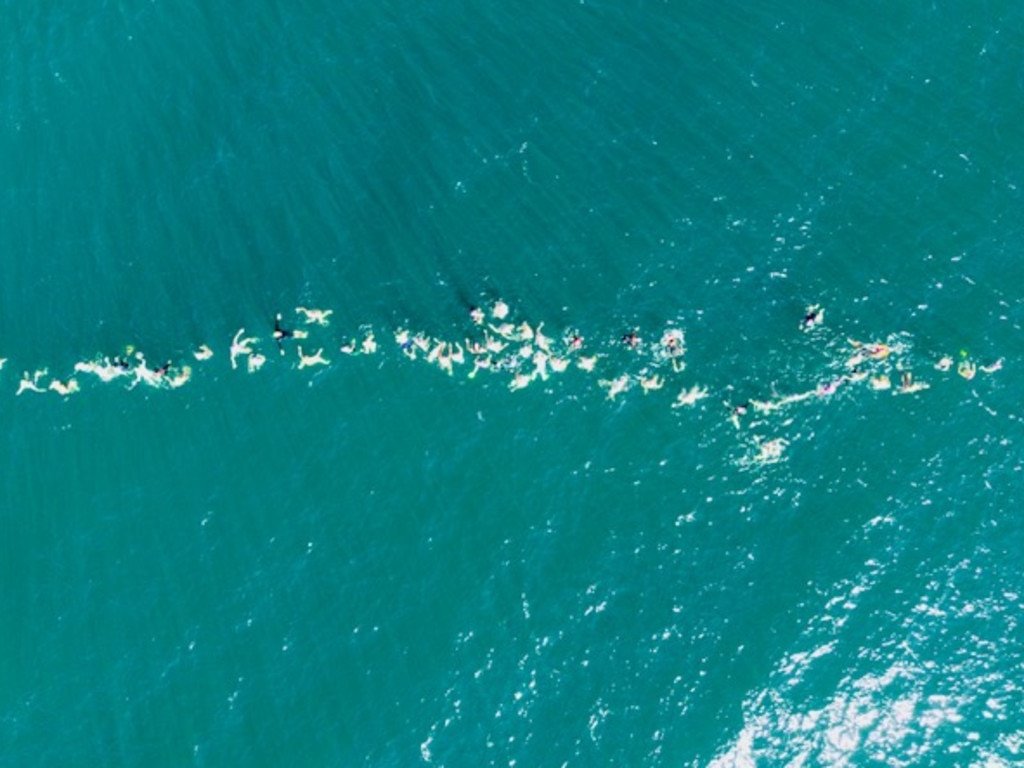 Swimmers were protesting the use of shark nets as they have been shown to trap marine life instead of target sharks. Picture: Kate Richman Photography