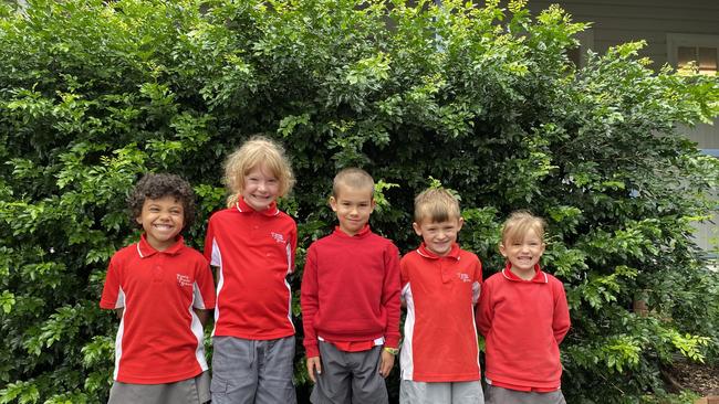Tucabia Public School - Clarence Valley My First Year 2021