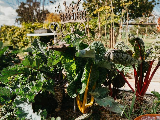 The herb garden at the Long Table Cafe just outside of Deniliquin. Picture: Fabio Oliveira