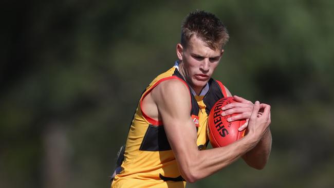 MELBOURNE, AUSTRALIA - MAY 05: Charlie Orchard of the Stingrays marks the ball during the 2024 Coates Talent League Boys Round 06 match between the Dandenong Stingrays and the Gold Coast Suns Academy at Belvedere Reserve on May 05, 2024 in Melbourne, Australia. (Photo by Rob Lawson/AFL Photos)