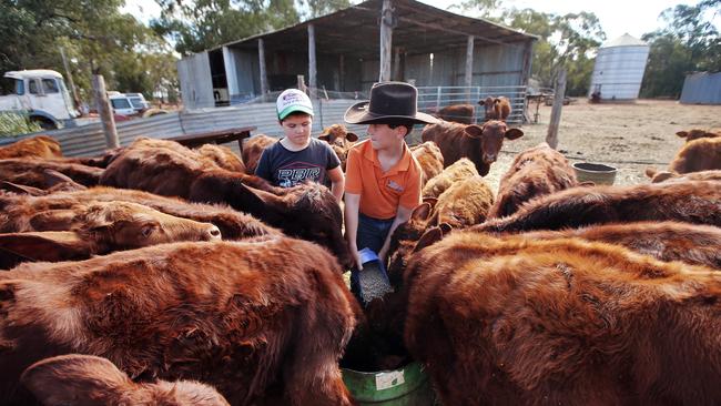 The Berejiklian Government has announced an extra $500 million towards drought relief. Picture: Sam Ruttyn