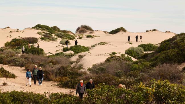 Exploring the dunes with Spirit of the Coorong. Picture: Russell Millard