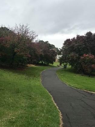 Gardiner's Creek Trail Burwood.