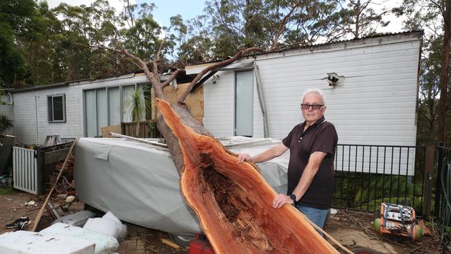 Mr Hanmore with the tree that went through his home. Picture: Glenn Hampson